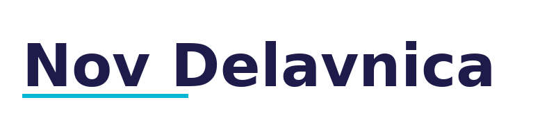 Nov Delavnica logo